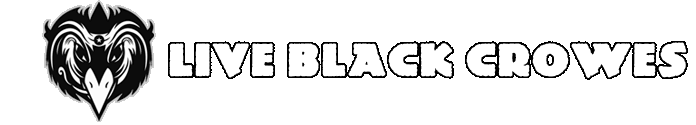 Download The Black Crowes Live MP3 and FLAC
