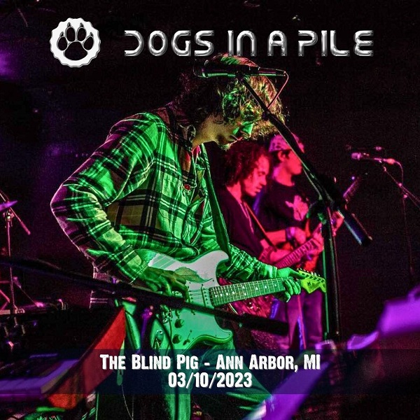 Dogs In A Pile