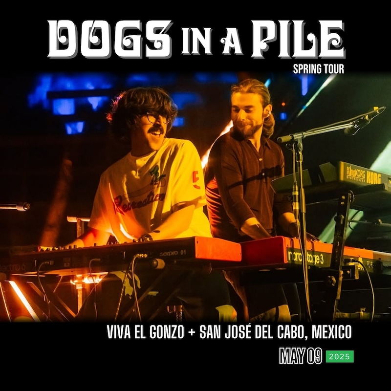 Dogs In A Pile