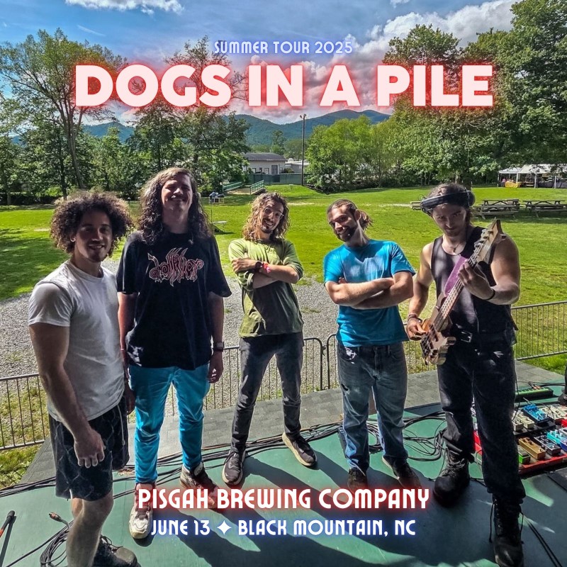 Dogs In A Pile