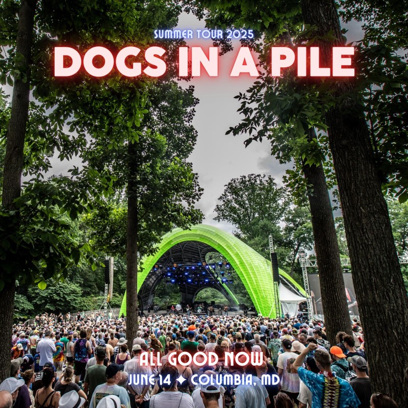 Dogs In A Pile