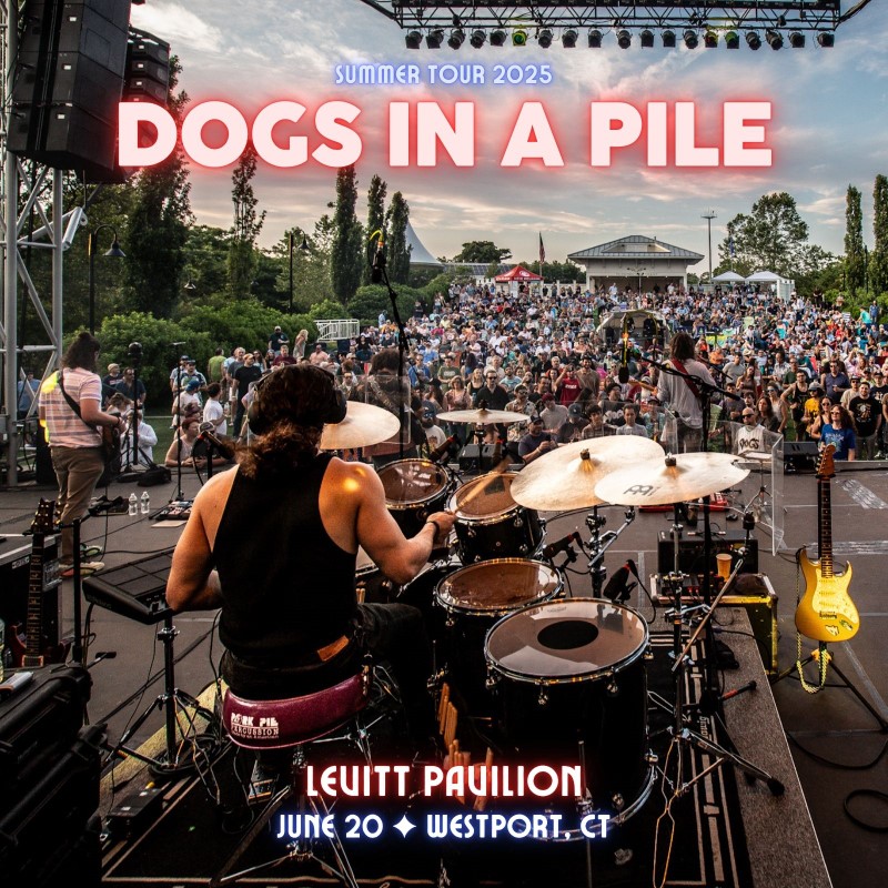Dogs In A Pile