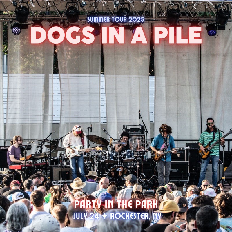 Dogs In A Pile