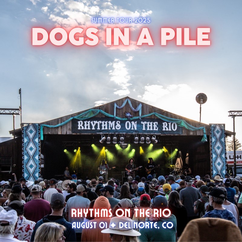 Dogs In A Pile