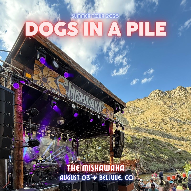 Dogs In A Pile