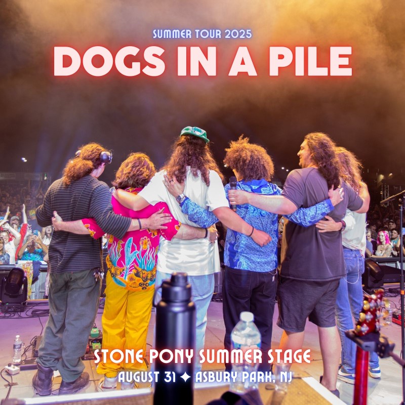 Dogs In A Pile