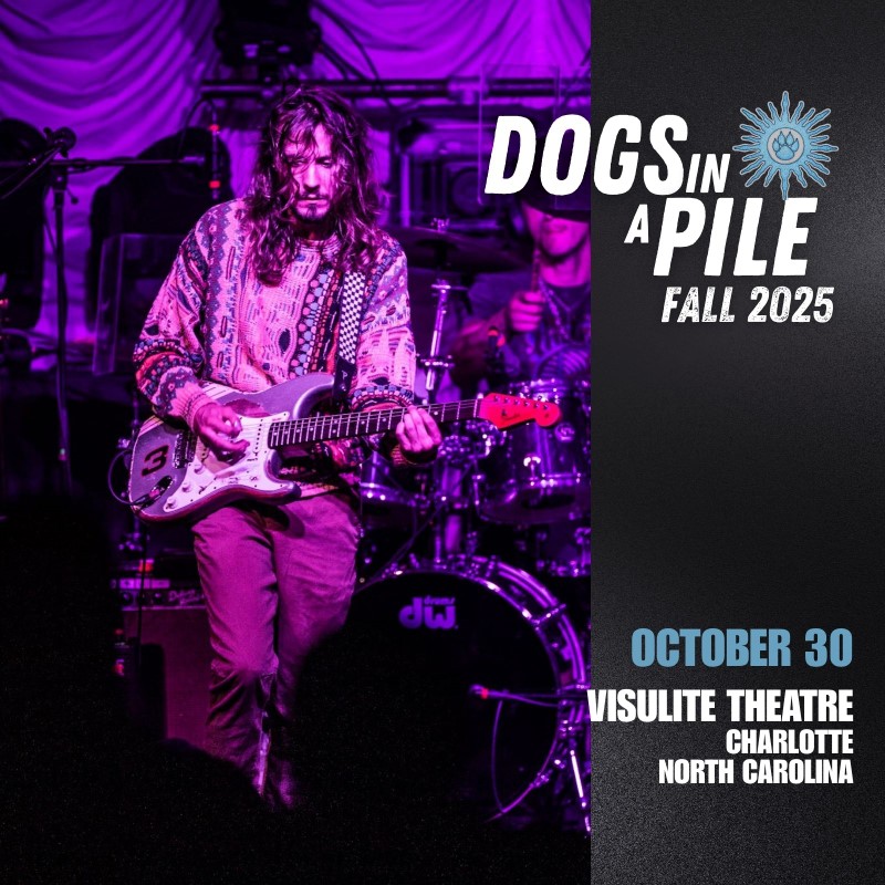 Dogs In A Pile Dogs In A Pile