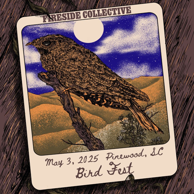 Fireside Collective