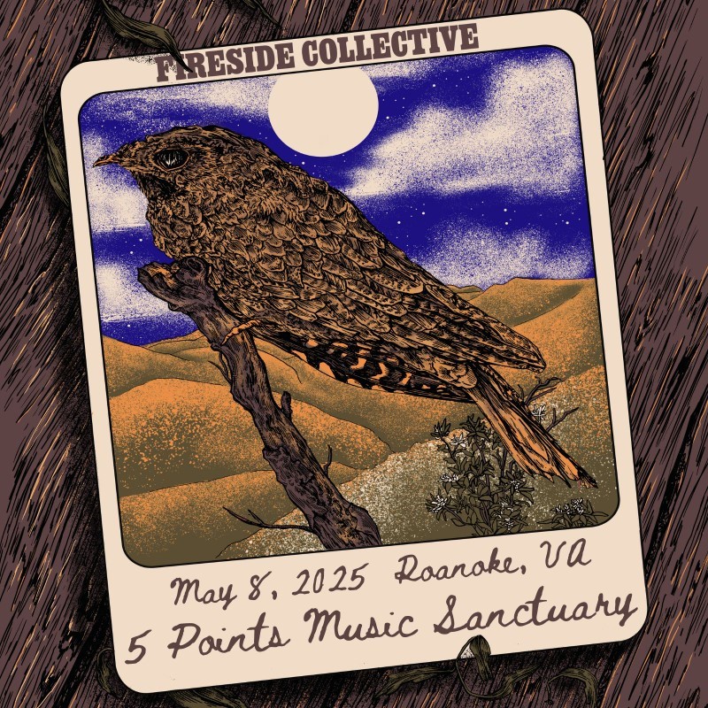 Fireside Collective