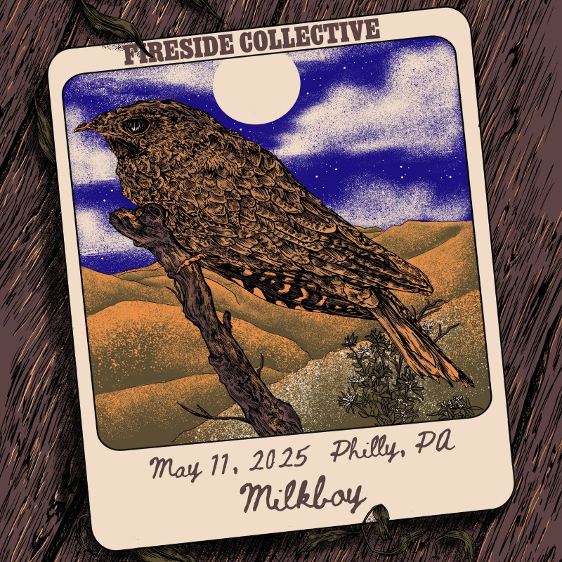 Fireside Collective