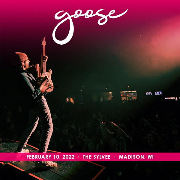Goose