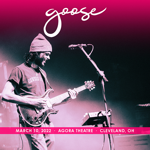 Goose
