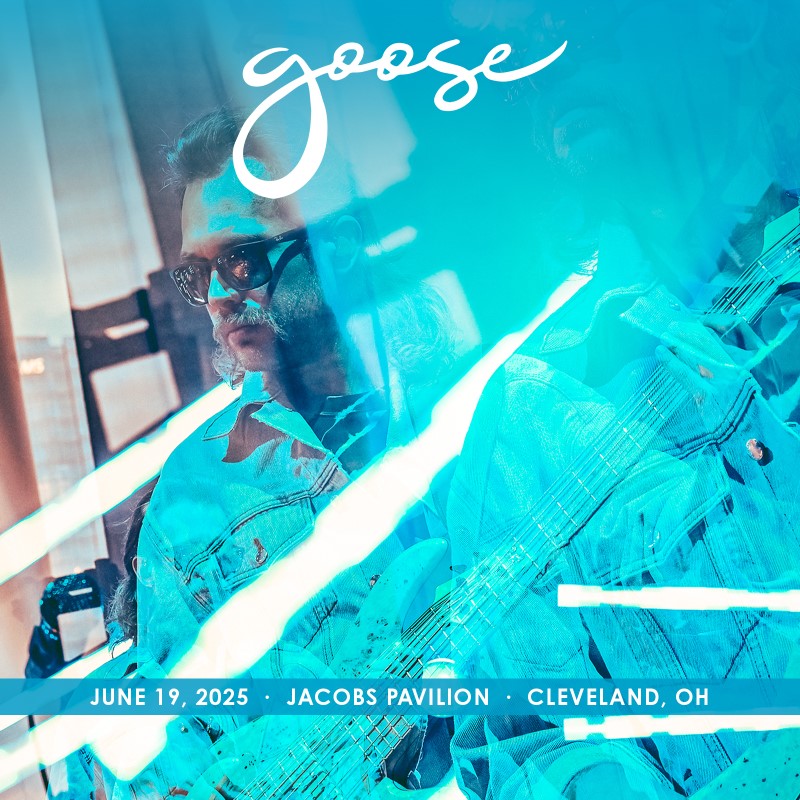 Goose