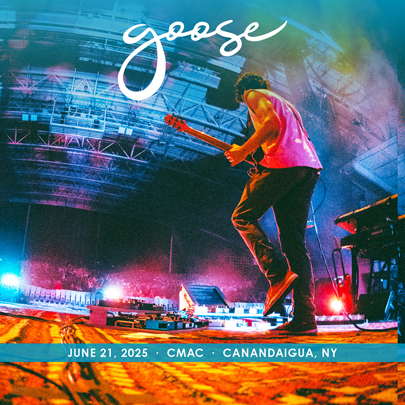 Goose
