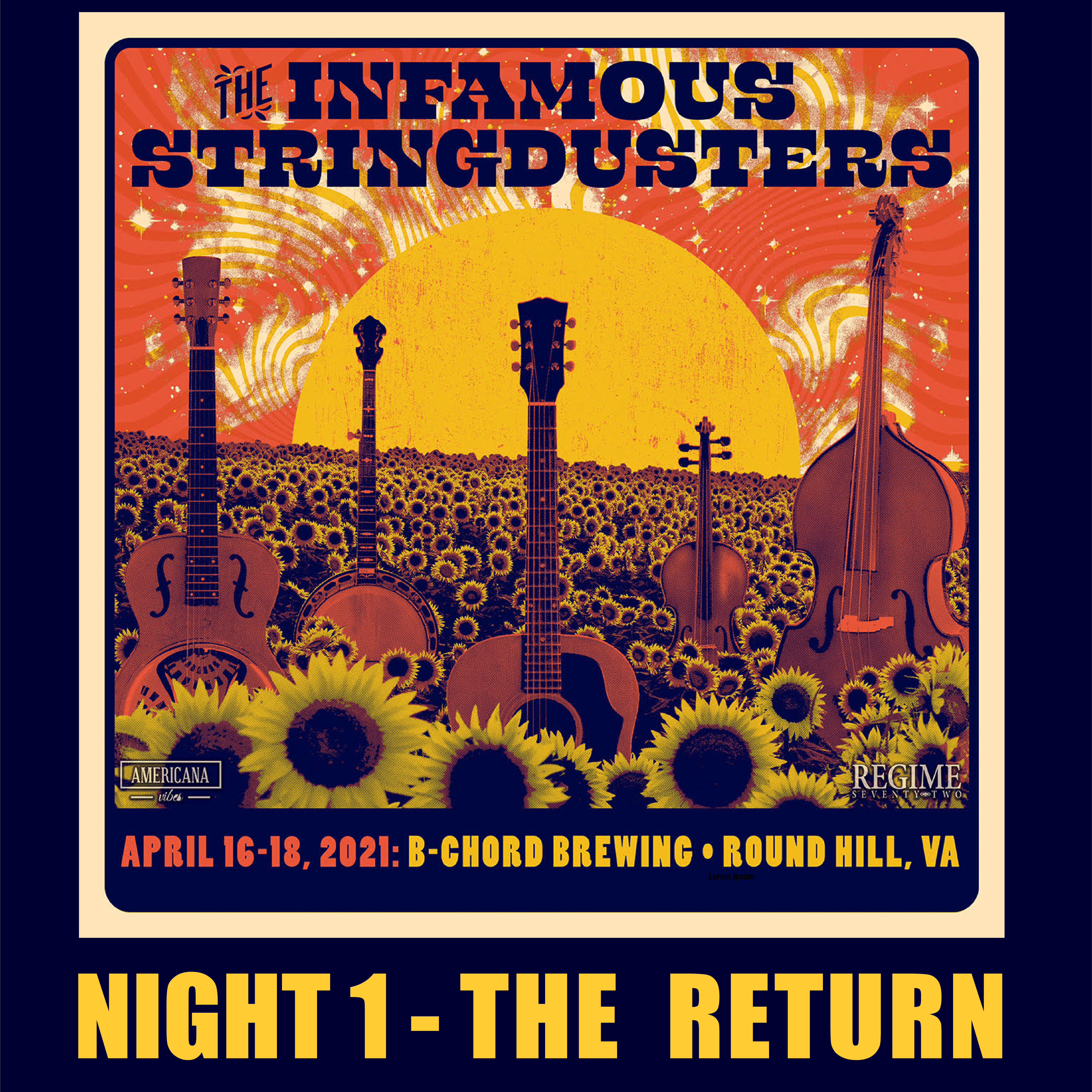 The Infamous Stringdusters