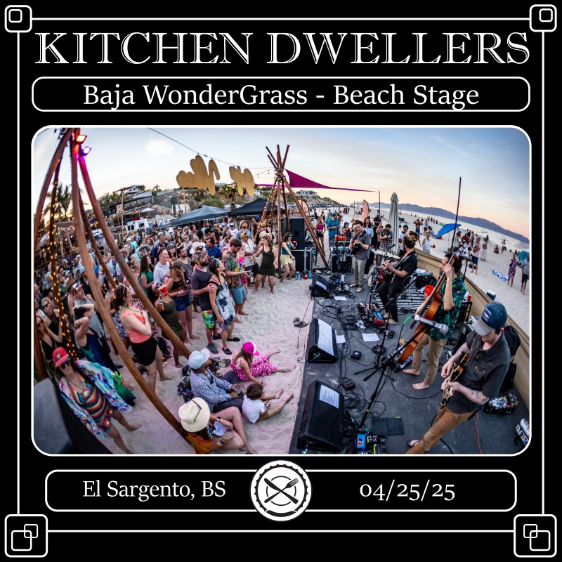 Kitchen Dwellers
