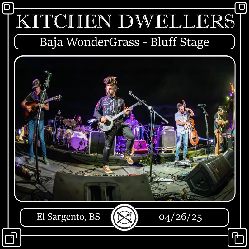 Kitchen Dwellers