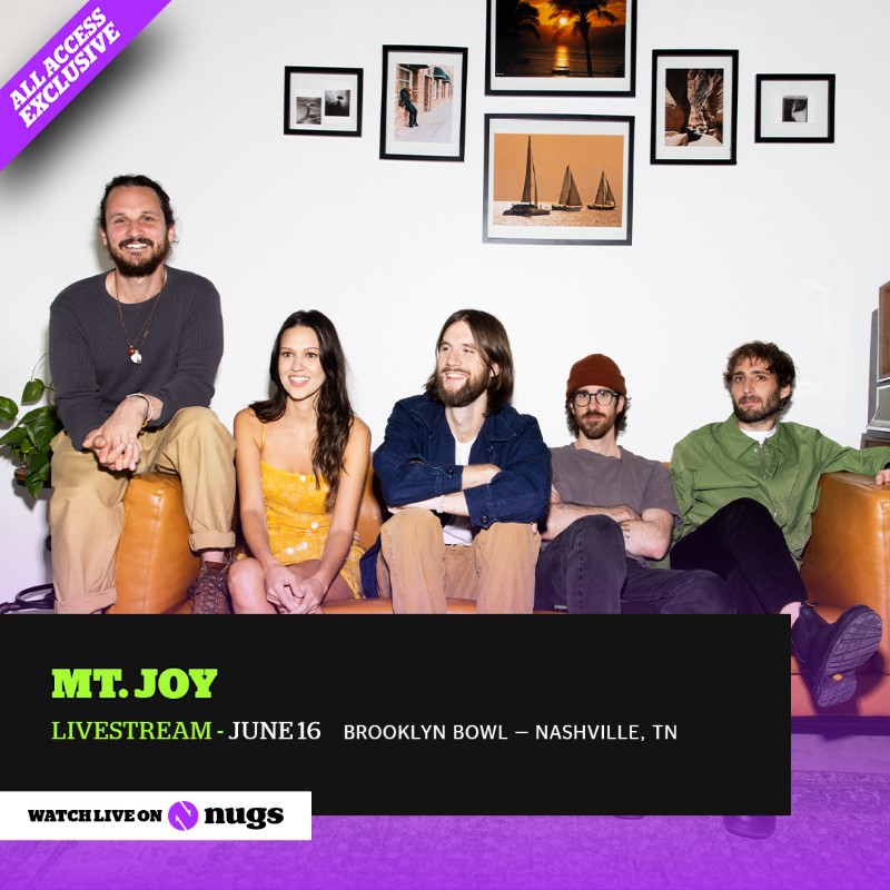 Mt. Joy
