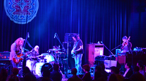 Gov't Mule