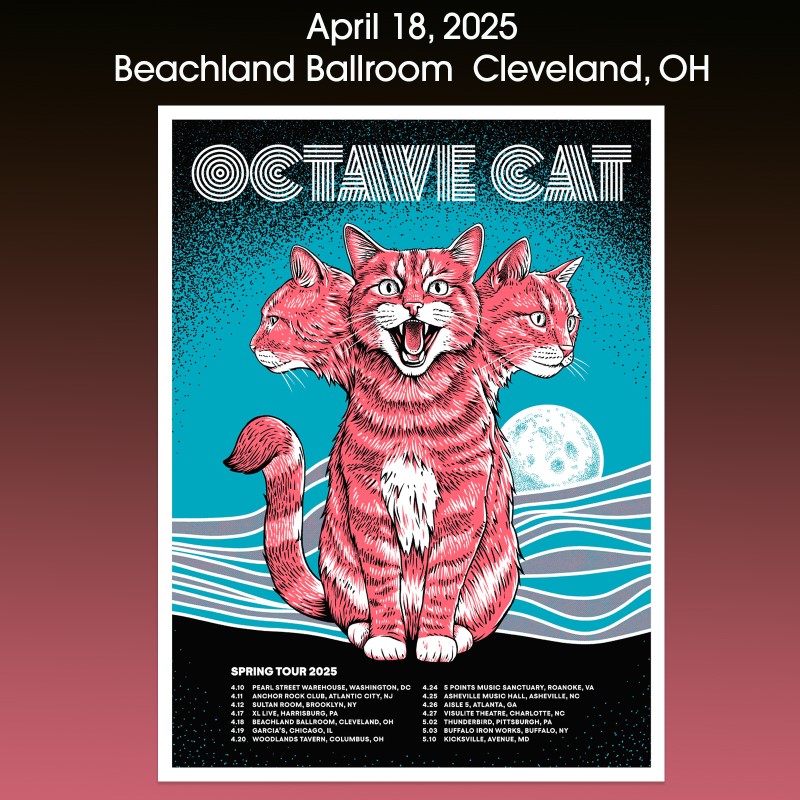 Octave Cat