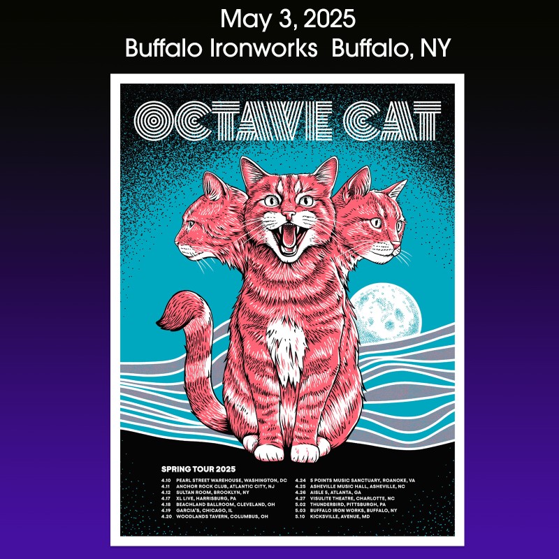 Octave Cat