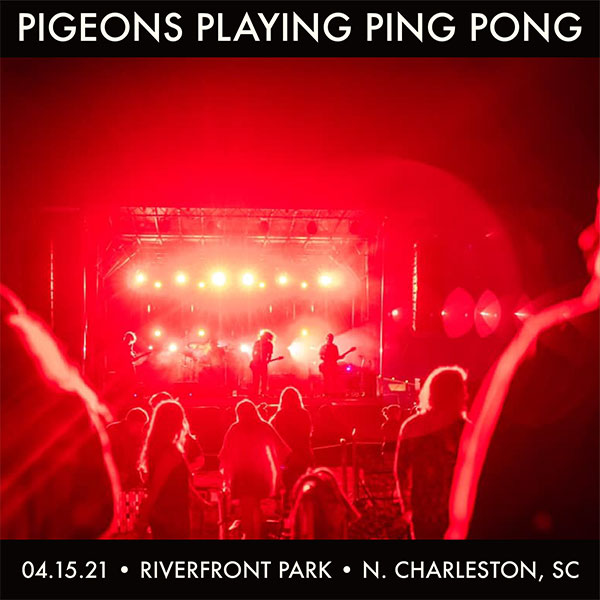 Pigeons Playing Ping Pong