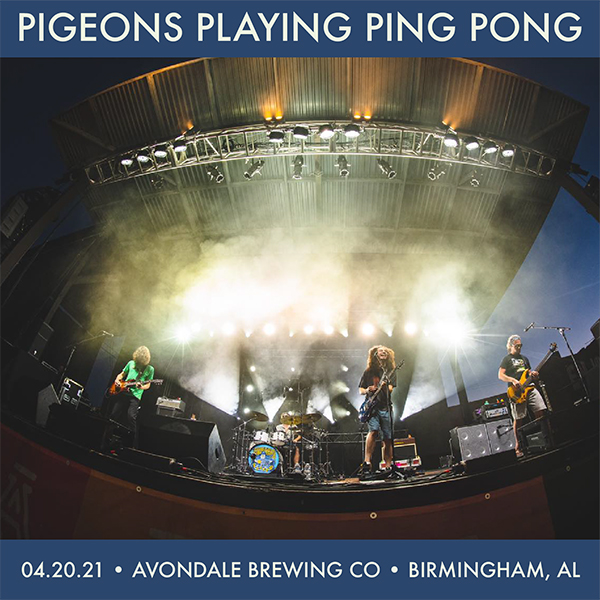 Pigeons Playing Ping Pong