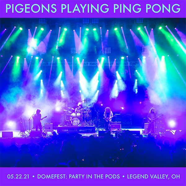 Pigeons Playing Ping Pong