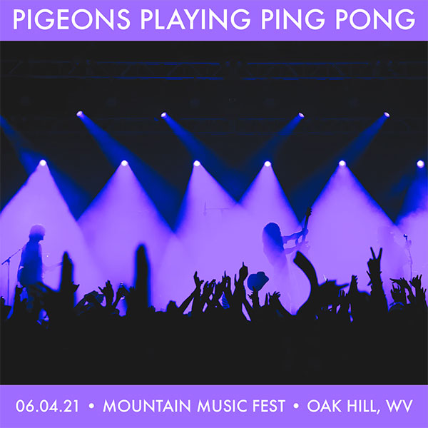 Pigeons Playing Ping Pong