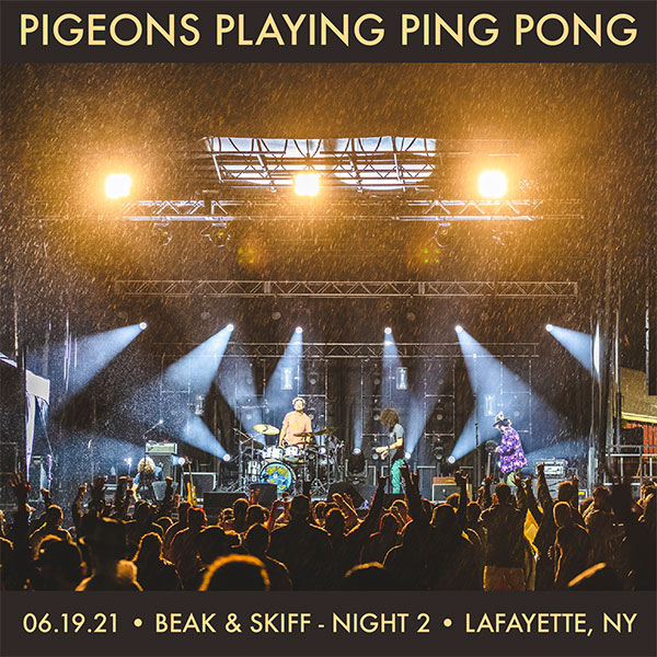 Pigeons Playing Ping Pong