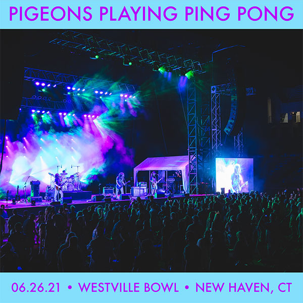 Pigeons Playing Ping Pong