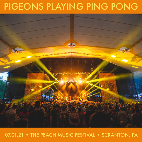Pigeons Playing Ping Pong