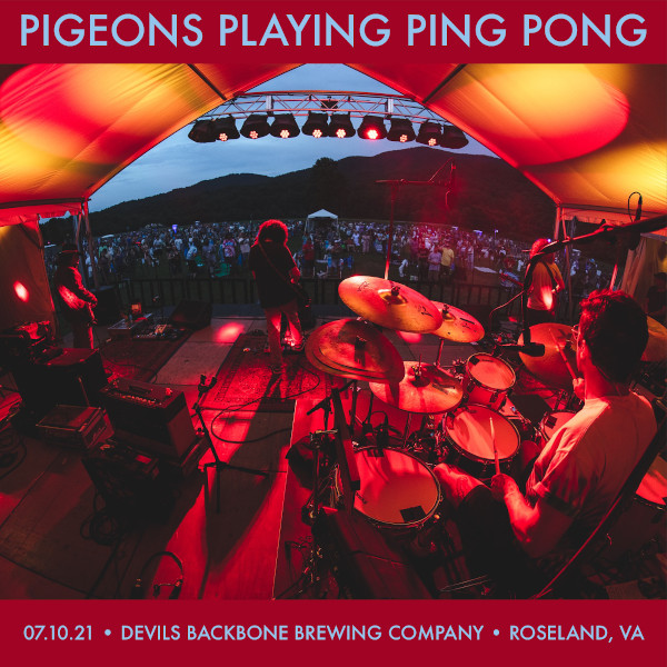 Pigeons Playing Ping Pong