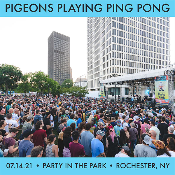Pigeons Playing Ping Pong