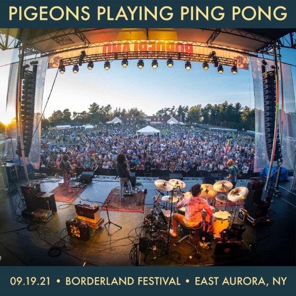Pigeons Playing Ping Pong
