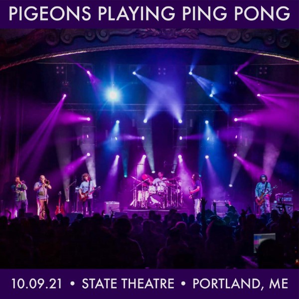 Pigeons Playing Ping Pong