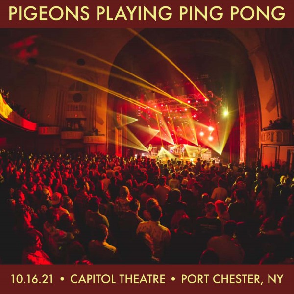Pigeons Playing Ping Pong