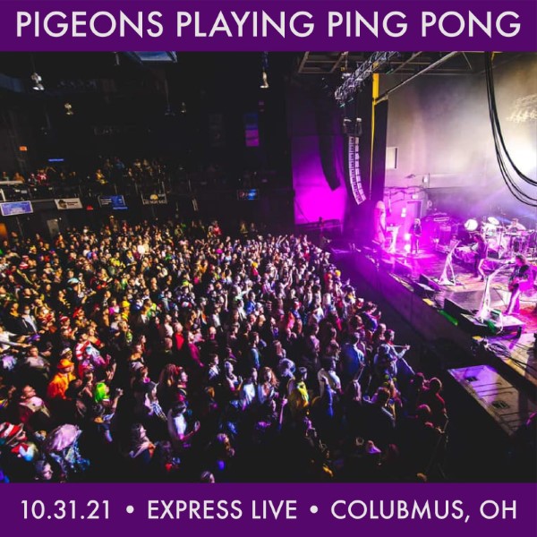 Pigeons Playing Ping Pong