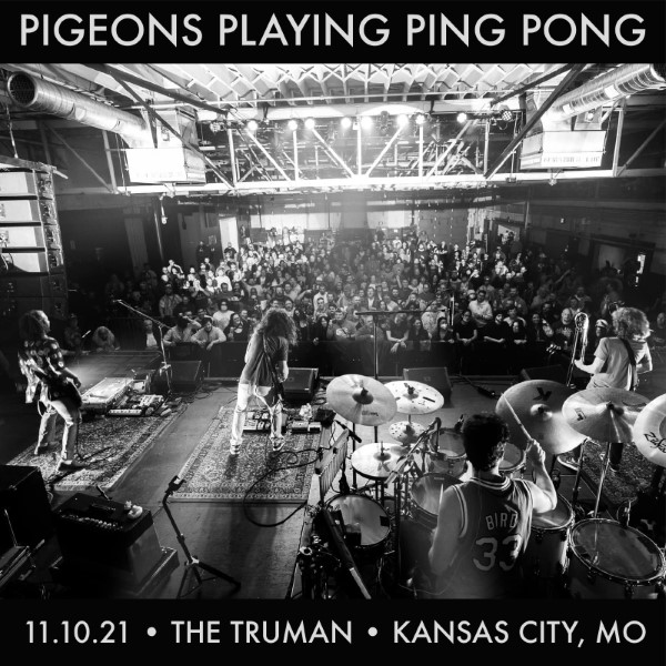 Pigeons Playing Ping Pong