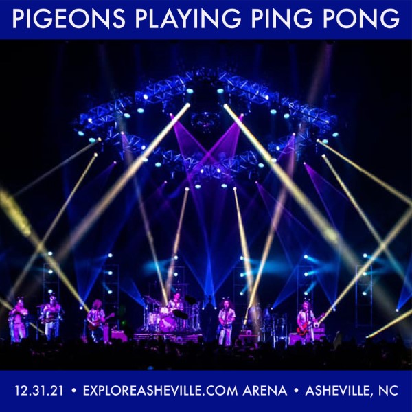 Pigeons Playing Ping Pong