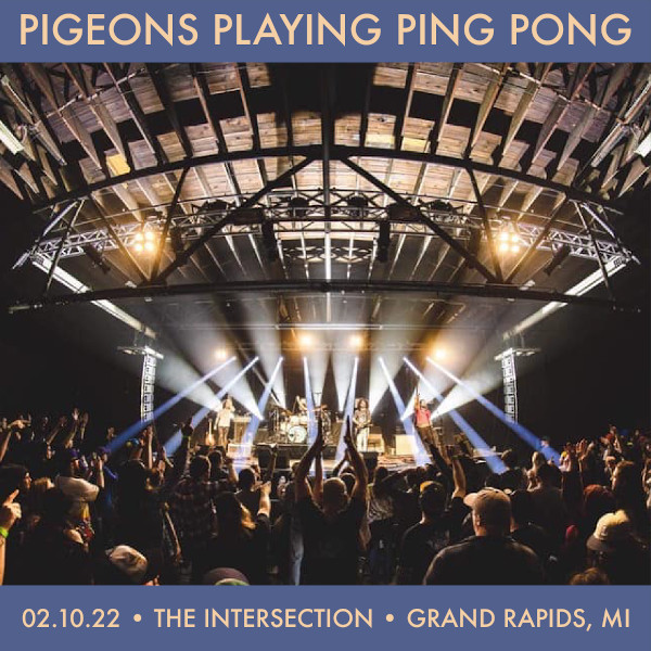 Pigeons Playing Ping Pong
