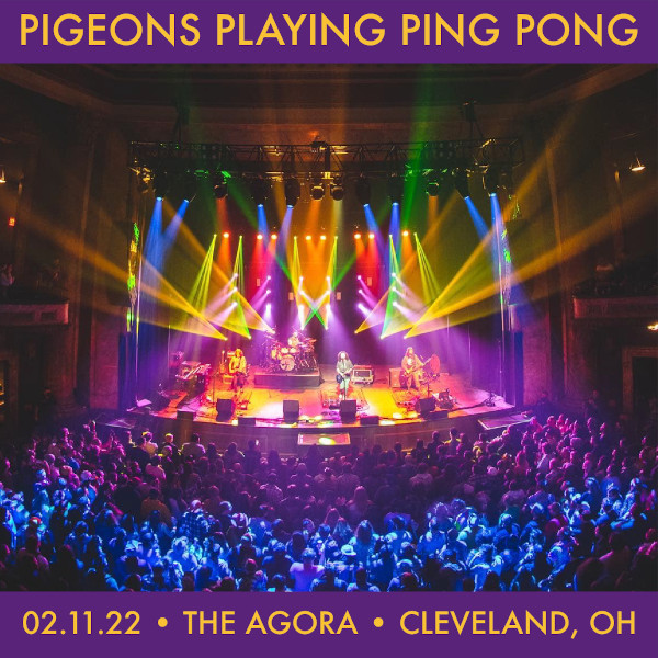 Pigeons Playing Ping Pong
