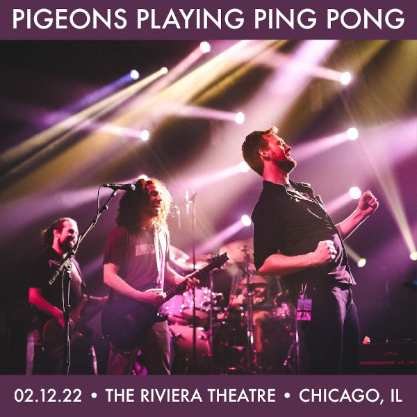 Pigeons Playing Ping Pong