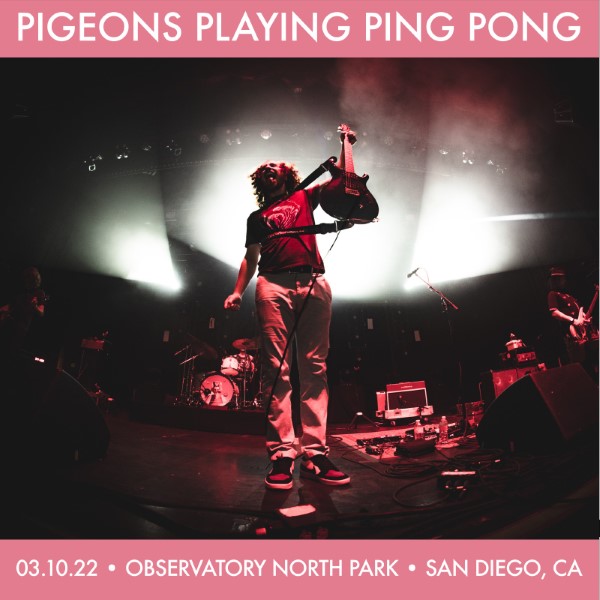 Pigeons Playing Ping Pong