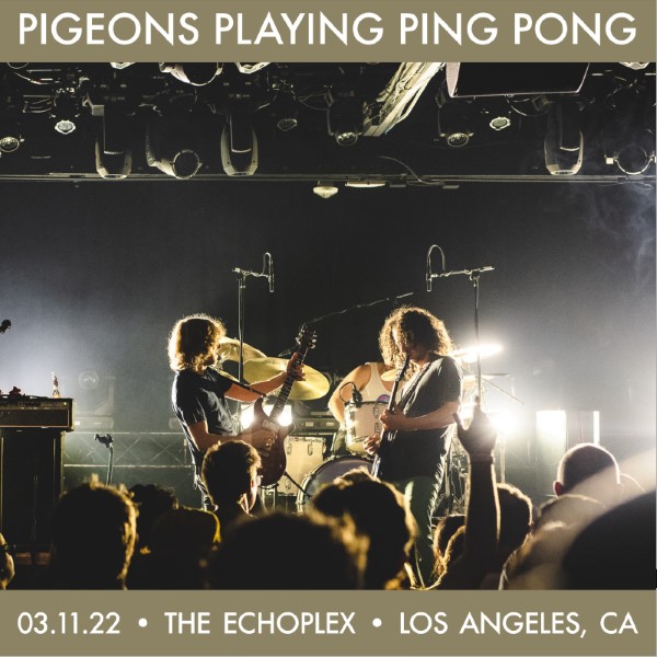 Pigeons Playing Ping Pong