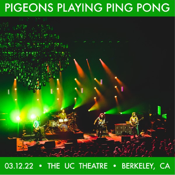 Pigeons Playing Ping Pong