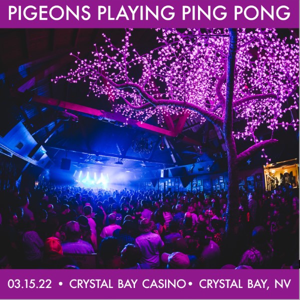 Pigeons Playing Ping Pong