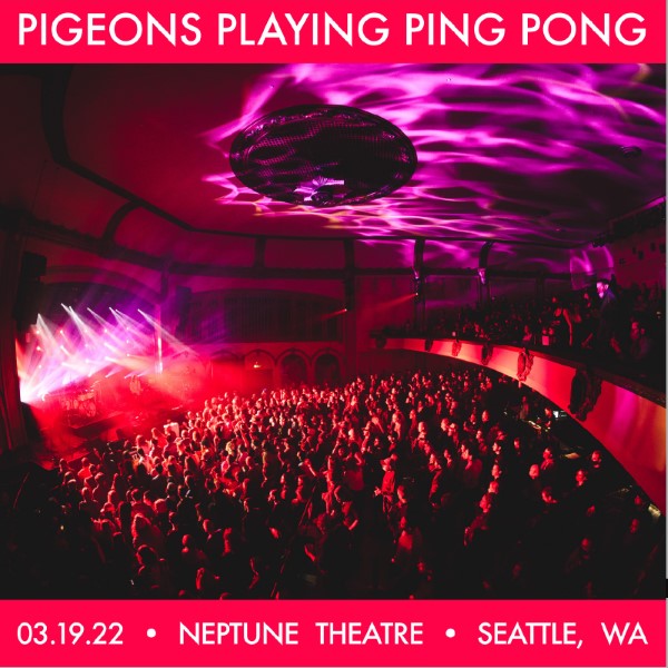 Pigeons Playing Ping Pong