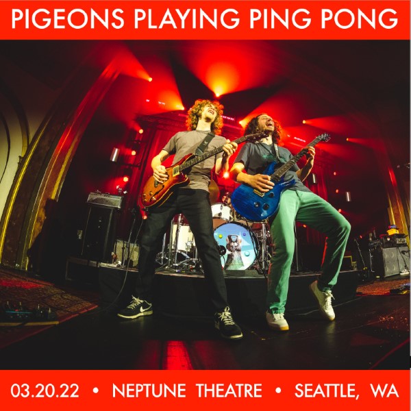 Pigeons Playing Ping Pong