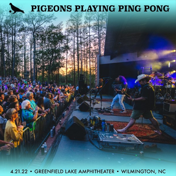 Pigeons Playing Ping Pong